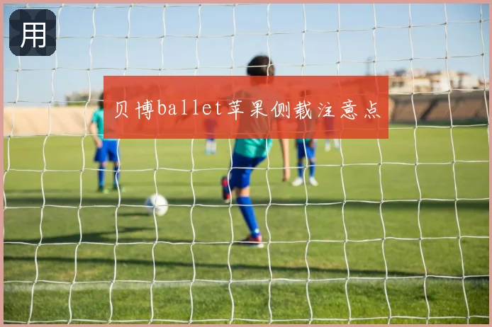 贝博ballet苹果侧载注意点
